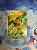 Iguolta AR - TWM 177 FR