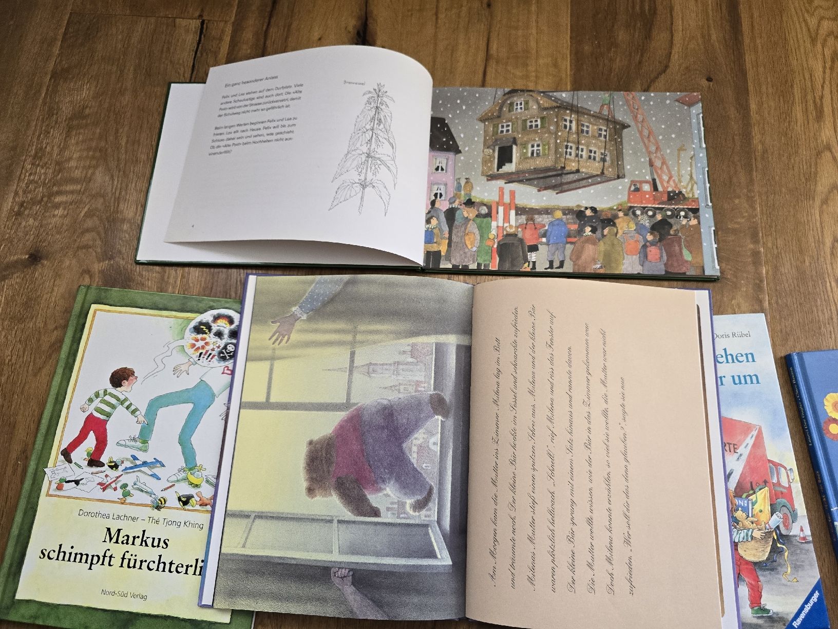 Libri: bücher set – Usato da Wittenbach venduto da Tigerlili 4