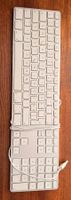 Apple Tastatur gross