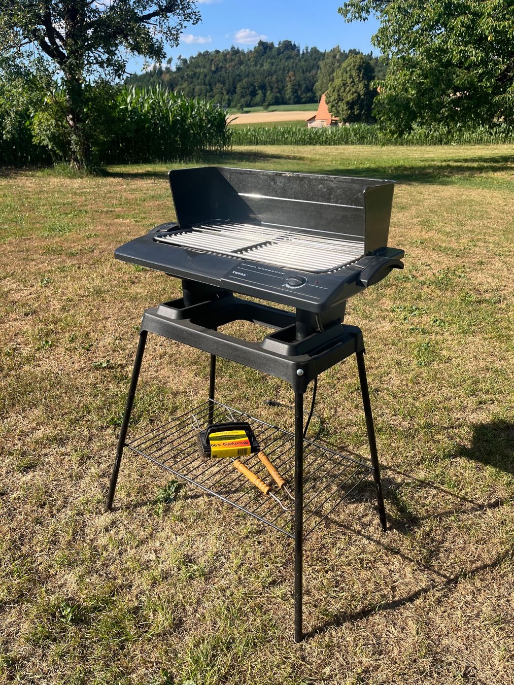 Tefal Griglie: Elektrogrill Tefal – Usato da Allmendingen b. BE venduto da juair 4