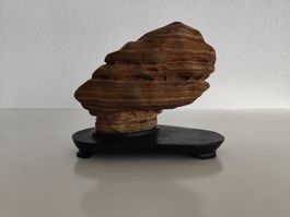 Suiseki / Gongshi - Unikat! Balance