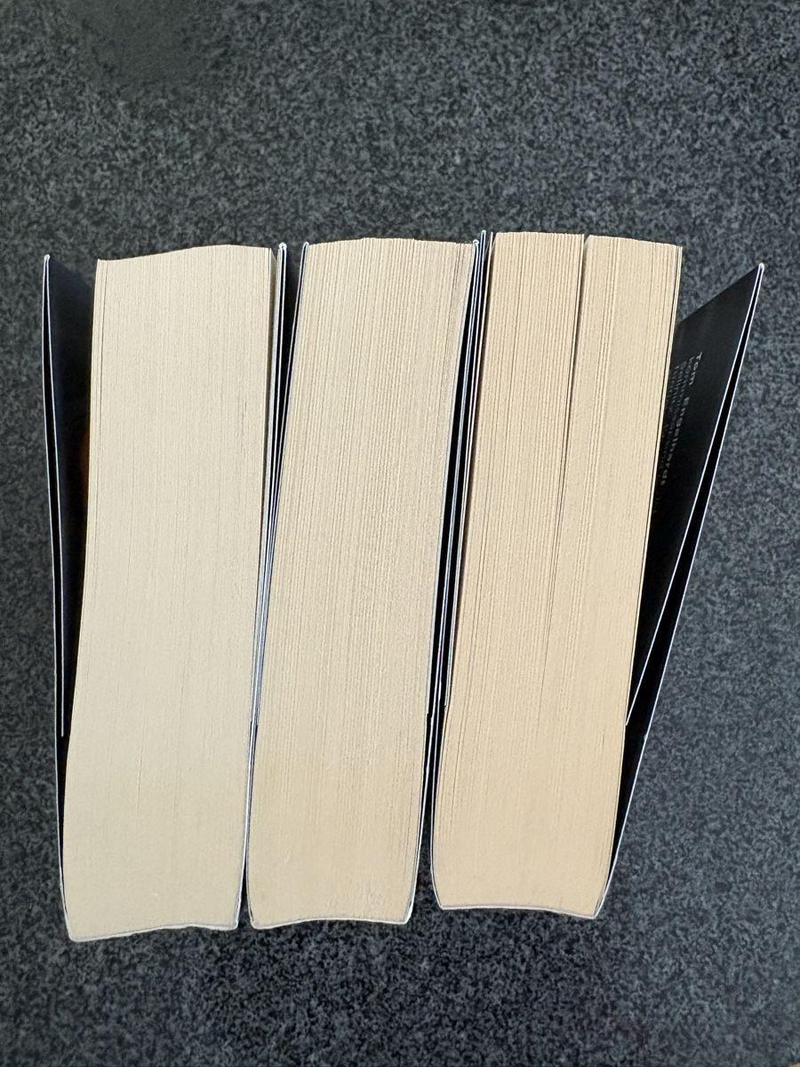 Libri: Karen Sander Der Strand Triologie – Usato da Belpberg venduto da Ranukel 3