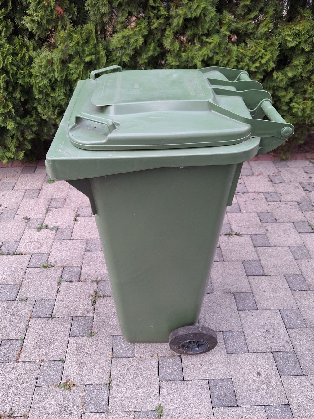Korpus: Abfallcontainer Schäfer 140L / 70 kg – Gebraucht aus Rickenbach b. Wil von joeletaxi1954 4