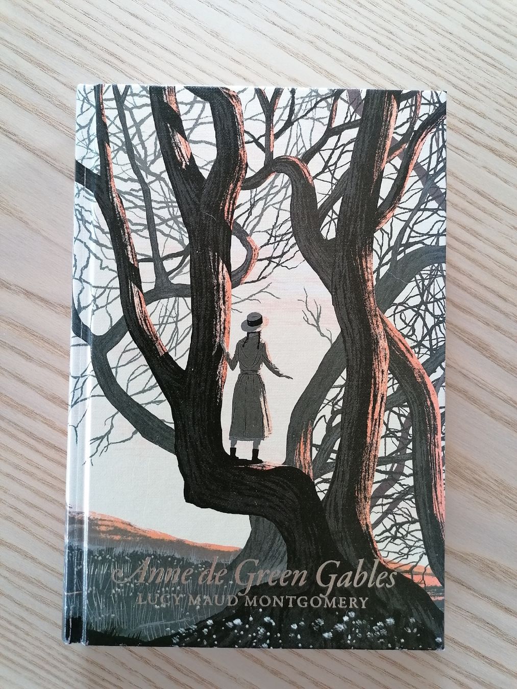 Libri: Anne de Green Gables – Nuovo (secondo la descrizione) da Bretigny-Morrens venduto da solveiga