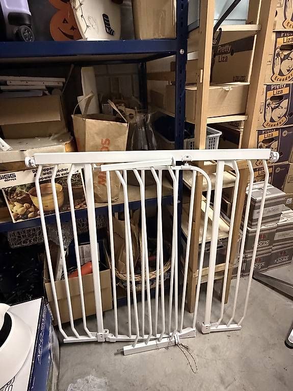 Gabbie, trasporto & Sicurezza: Hundegitter – Usato da zufikon venduto da rawy22 2