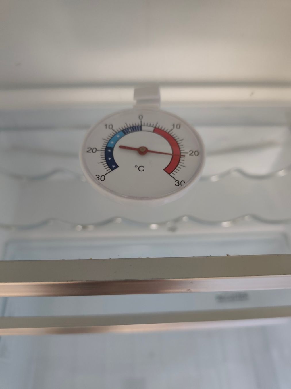 Frigoriferi: Kühlschrank electrolux – Usato da Biberist venduto da MartinN0112 2