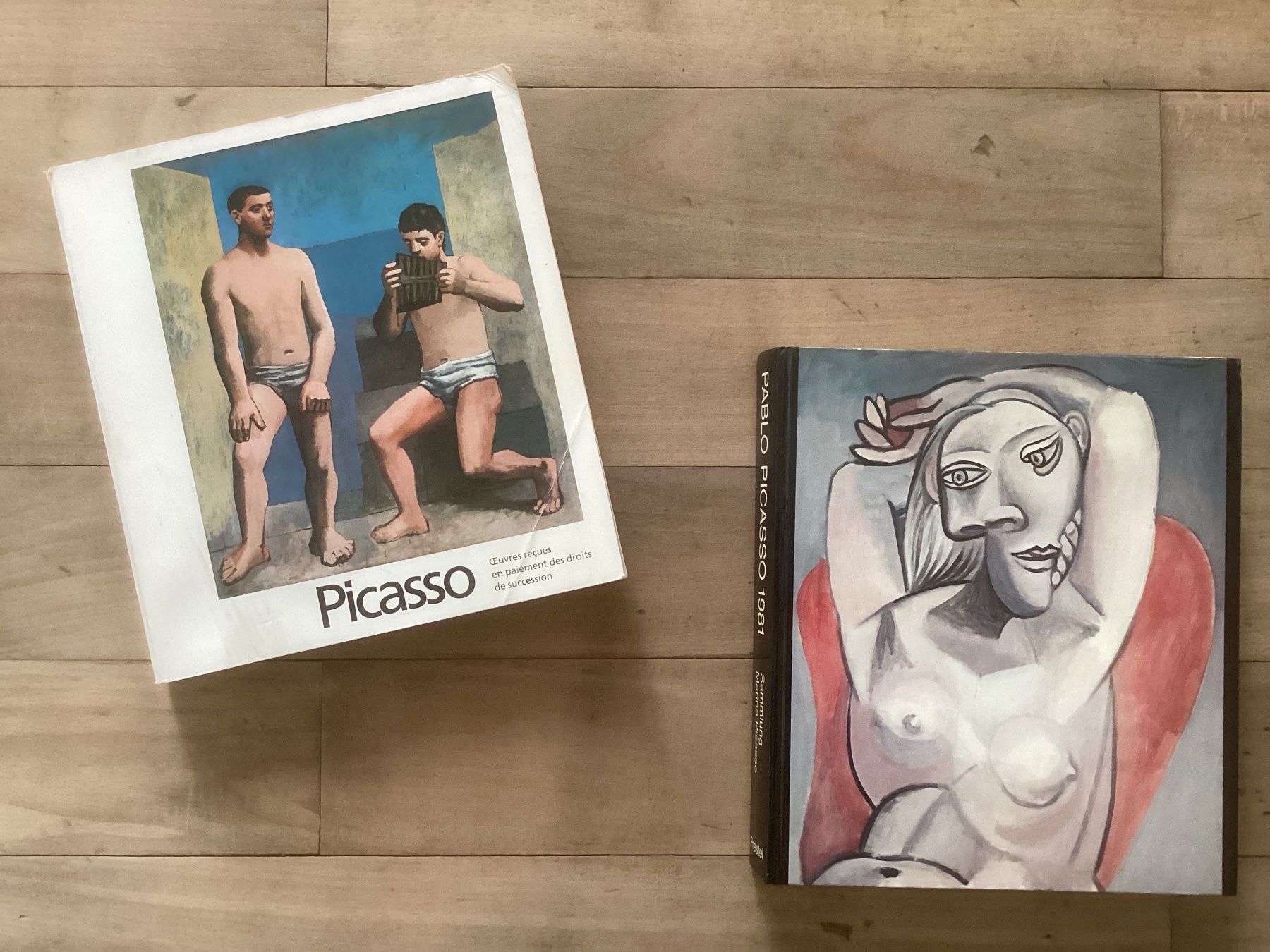 Bücher: Bücher über Pablo Picasso – Gebraucht aus Muttenz von bar_ws7n