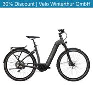 Flyer Gotour6 3.10