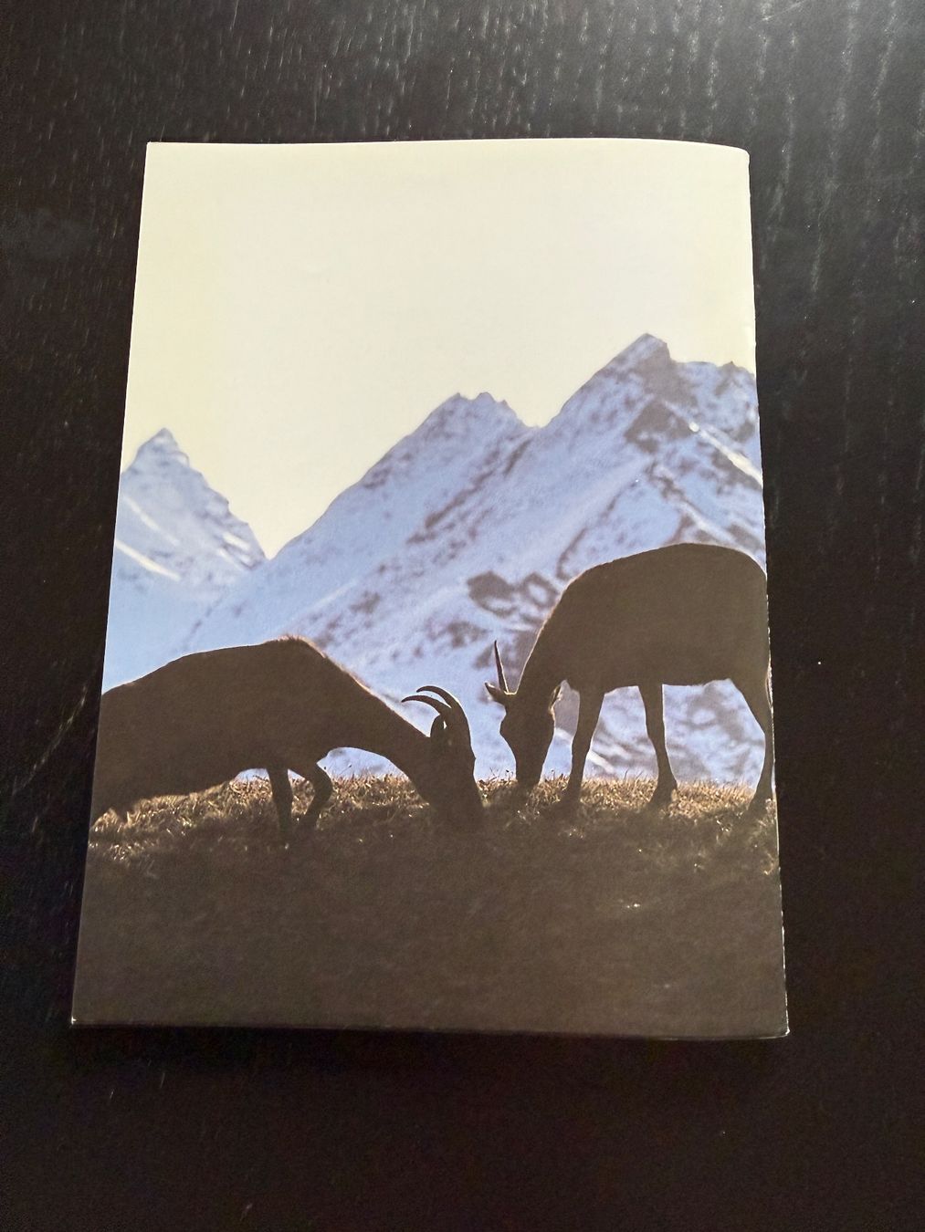 Livres: Bergleben: Einblick in das Leben der Schweizer Alpen – D'occasion à Erstfeld par Uhu1980 5