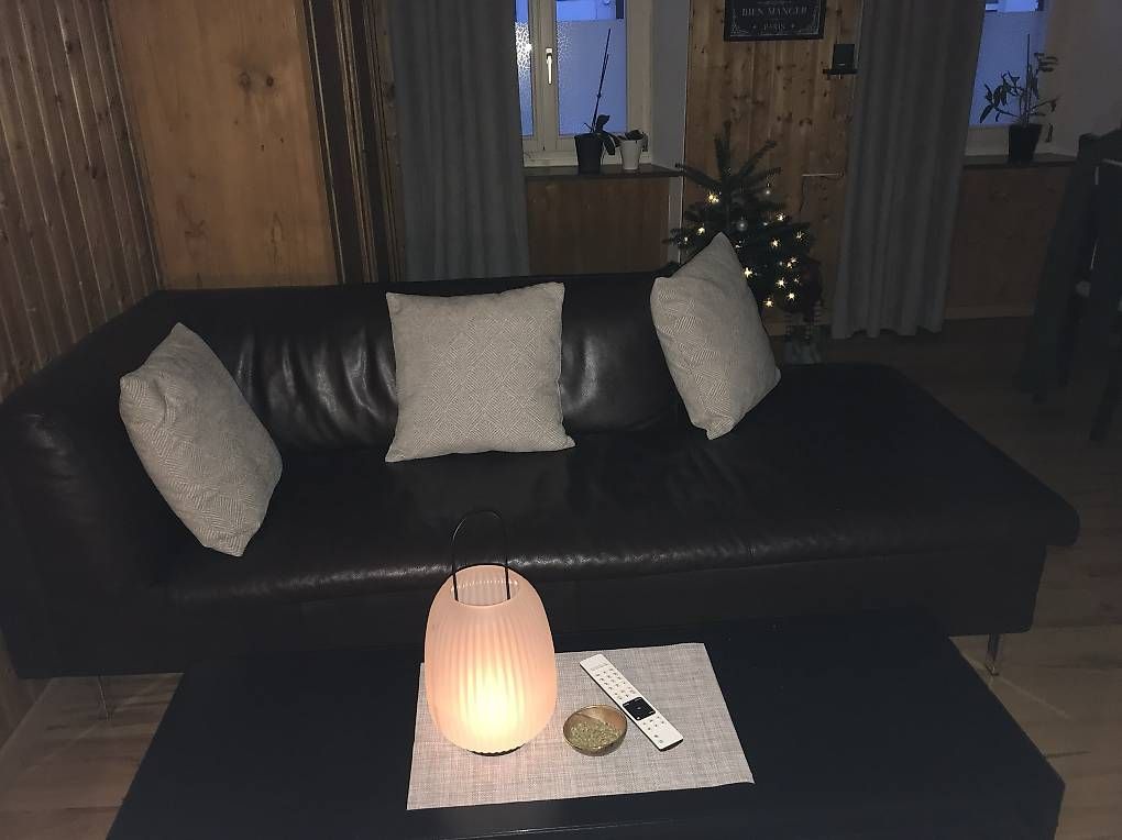 Sofas: Schönes dunkelbraunes Ledersofa – Gebraucht aus Koblenz von man_6kgw