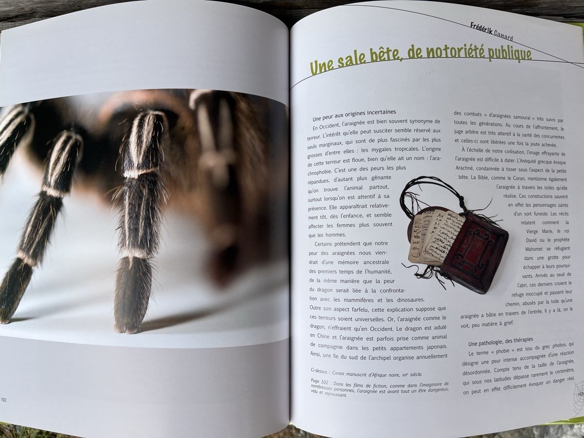 Libri: Au fil des araignées - Livre – Usato da Euseigne venduto da so.ART 6