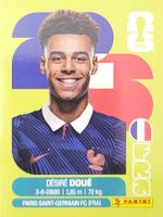 Panini FIFA World Cup FRA 17