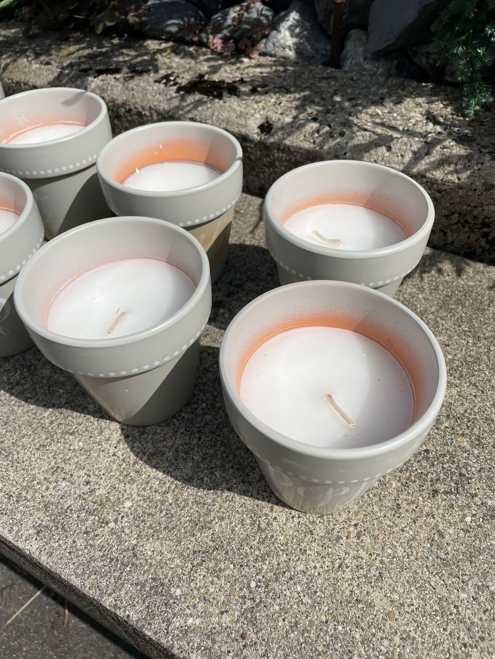 Candele: 12er Set Kräutertöpfe "Pepper" mit Kerze, Balthasar – Nuovo e nell'imballaggio originale da Wängi venduto da LiqKojote 3