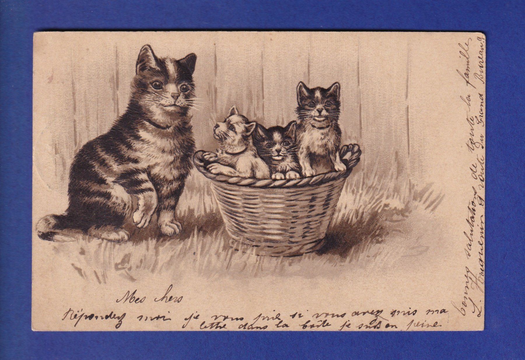 Cartoline postali: CHAT - Maman chat et sa corbeille de chatons – Usato da Pully venduto da nicecards-shop