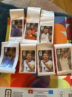 Panini 2026 CC