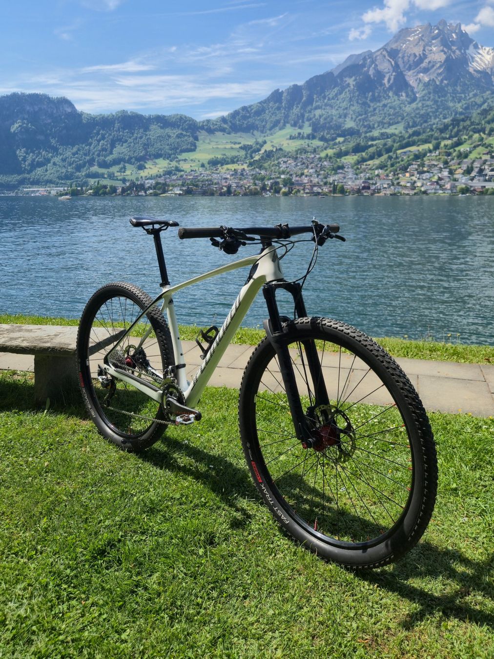 Specialized Biciclette: Custom-Built Specialized Carbon Hardtail 29” - size L - 10.3 – Usato da Kriens venduto da dum_27ww