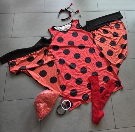 Fasnacht, Marienkäfer Kostüm Set rot schwarz mit Zubehör