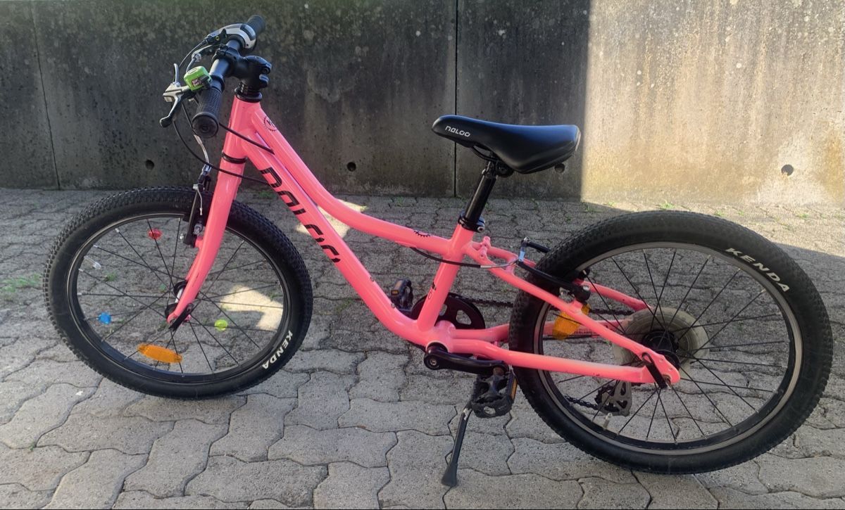 Naloo Biciclette: Naloo chameleon 20 Zoll – Usato da Binz venduto da denise014
