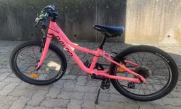 Naloo chameleon 20 Zoll