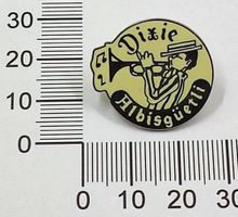 Pin Dixie Albisgüetli