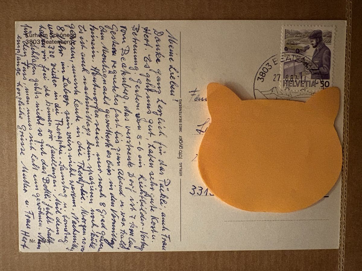 Cartoline postali: AK von Kurheim Schönegg – Usato da Rümlang venduto da Kartenpost1 1