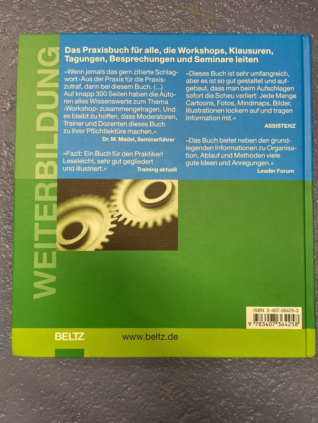Libri: LIPP/WILL Das Grosse Workshop-Buch (Beltz, 2004) – Usato da Frasnacht venduto da GracyStore 1
