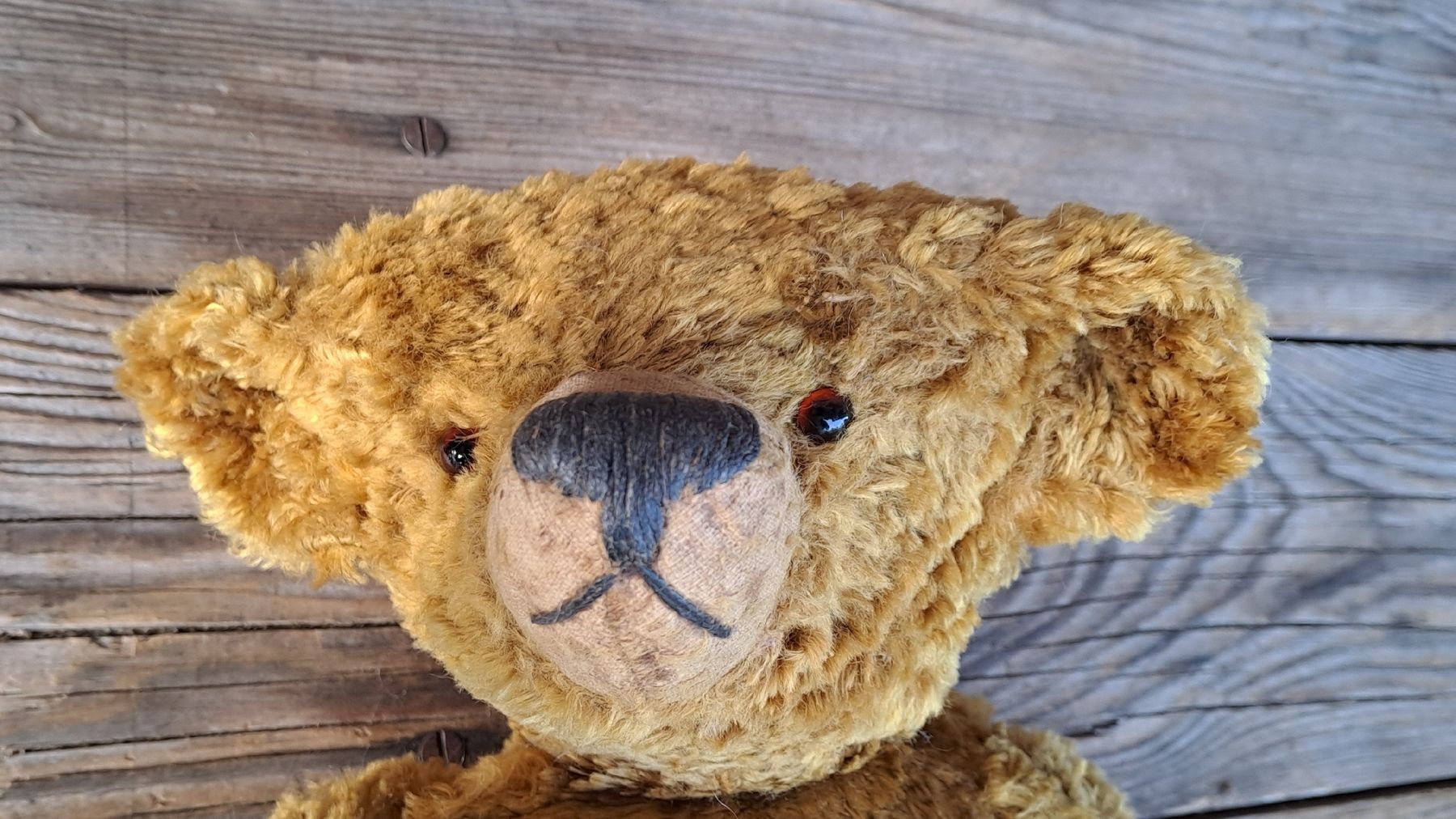 Giocattoli: Schöner alter Teddybär 50cm geweglich – Usato da schönholzerswilen venduto da Vistapoint 1