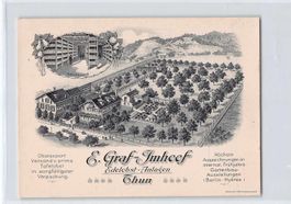 E. GRAF - IMHOF - EDELOBST - THUN Litho um 1900