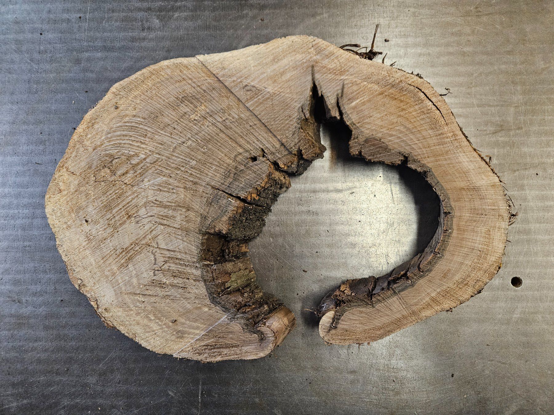 Articoli in legno: Nussbaum Holz Baumscheibe – Nuovo (secondo la descrizione) da Schangnau venduto da egli6.2 6