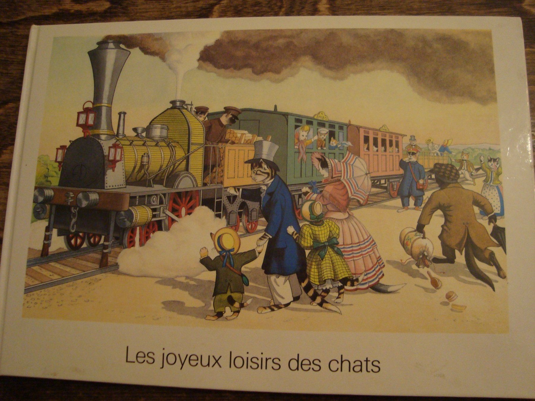 Libri: Les joyeux loisirs des chats – Usato da Fribourg venduto da ruswil007