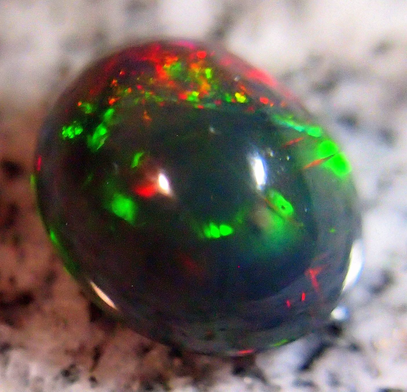 Pietre preziose: 4,4 CTS WELO-FEUEROPAL brilliant AAA – Nuovo e nell'imballaggio originale da Reinach BL venduto da blumarco 7