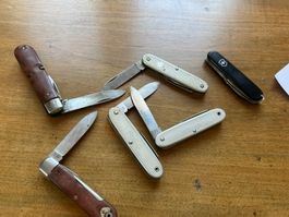 Taschenmesser Konvolut 6 Stk. Nr 239