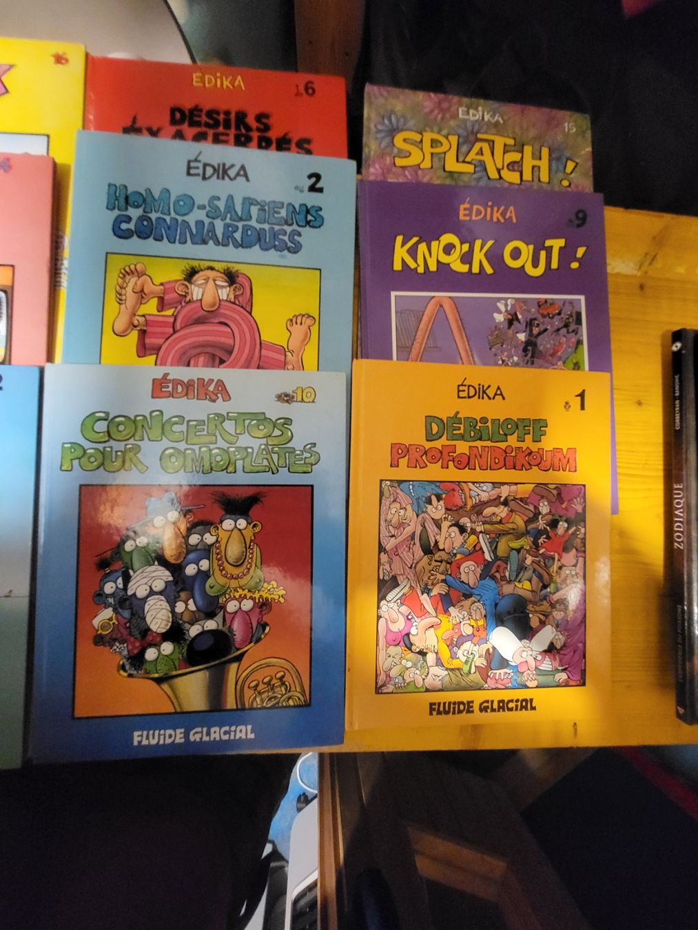Comics: Lot de 19 bd Fluide Glacial – Gebraucht aus Lausanne von riwink 3