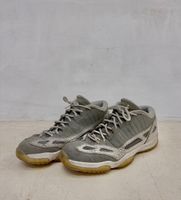 JORDAN 11 RETRO LOW IE (2007)