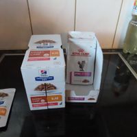 Katzen  Royal Canin  und  Hills