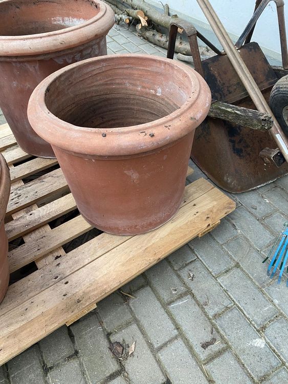 Terracotta Tontopf Kaufen auf Ricardo