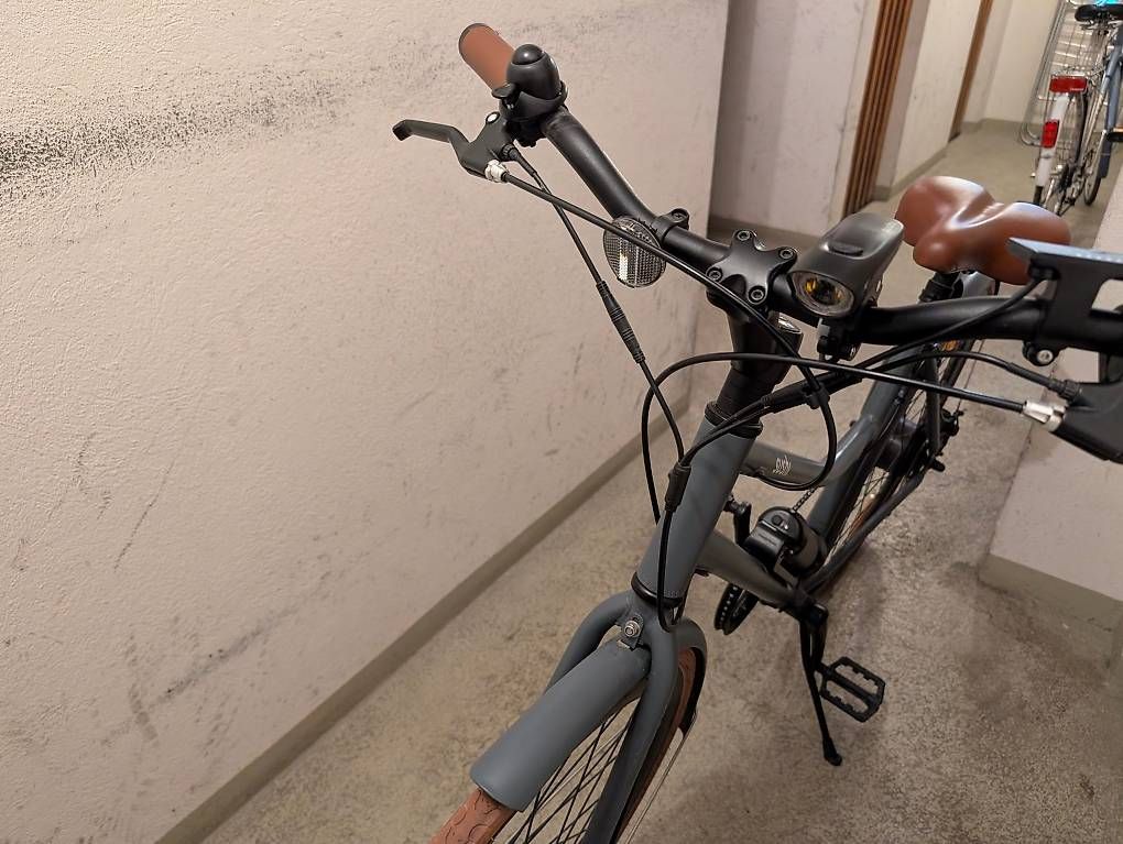 Biciclette: Sushi California Roll Pedelec / E-Bike – Usato da Bern venduto da azidan 2