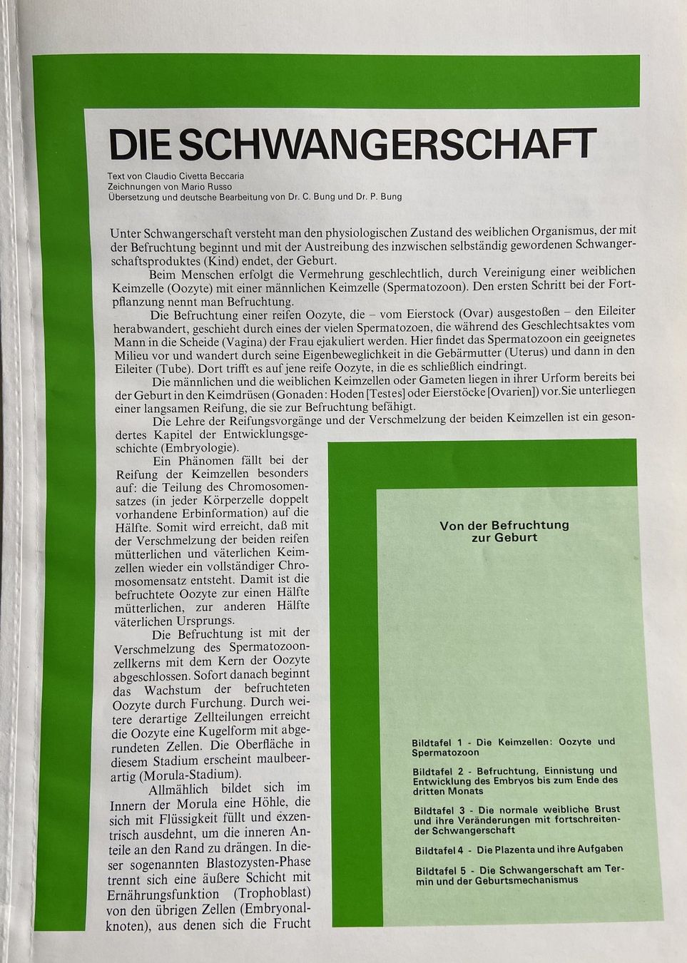 Bücher: Transvision Bildtafeln Die Schwangerschaft – Gebraucht aus Böckten von Hansi36 1