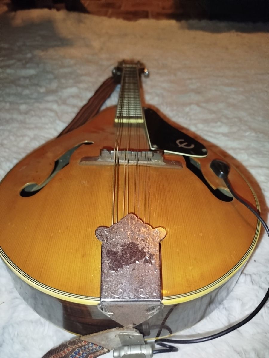 Epiphone Strumenti musicali: Vintage Epiphone Mandoline – Usato da Schönenbuch venduto da ElStigg 2