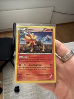 Pokemon Sammelkarte Pyroar Stage 1 guter Zustand