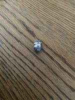 Pandora Clip Charm