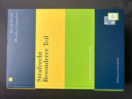 Strafrecht Besonderer Teil, 3. Auflage, Neu