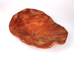Grosse Wurzelschale aus Massivholz 45x43cm – Unikat