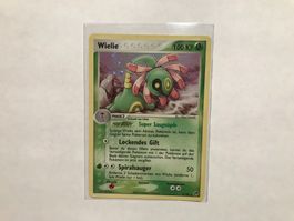 Wielie holo Ex Sandsturm