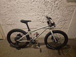 Early Rider Seeker 20"