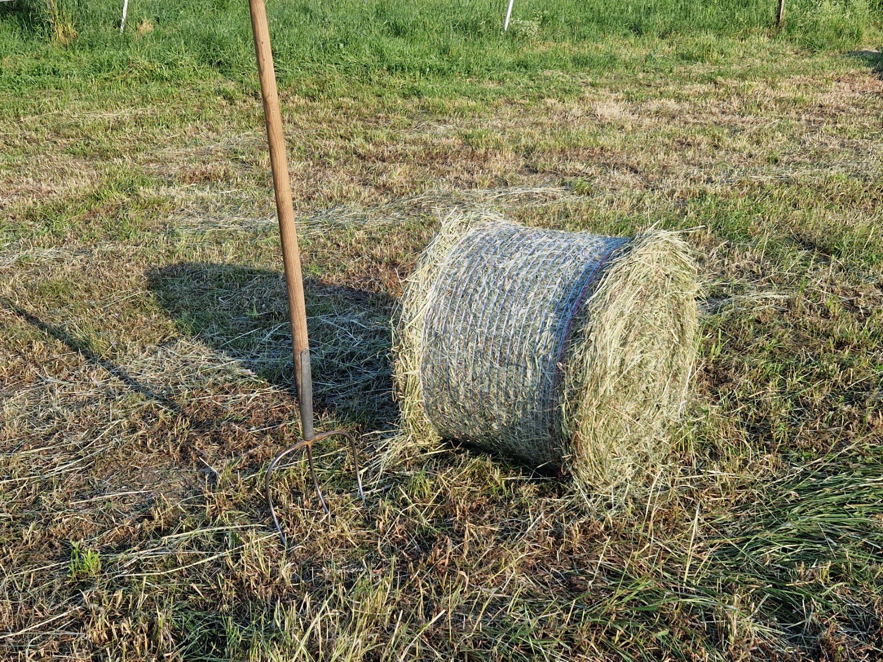 Toutes les machines: CAEB Ballenpresse – D'occasion à Reichenbach i. K. par Thesivk 4