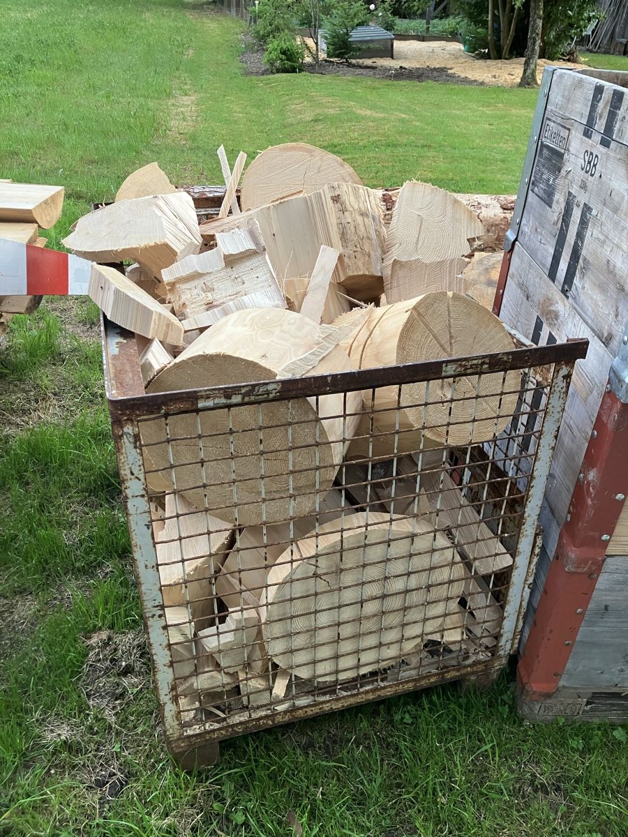 Articoli in legno: Brennholz Baumstamm  – Usato da Thunstetten venduto da Sugus025