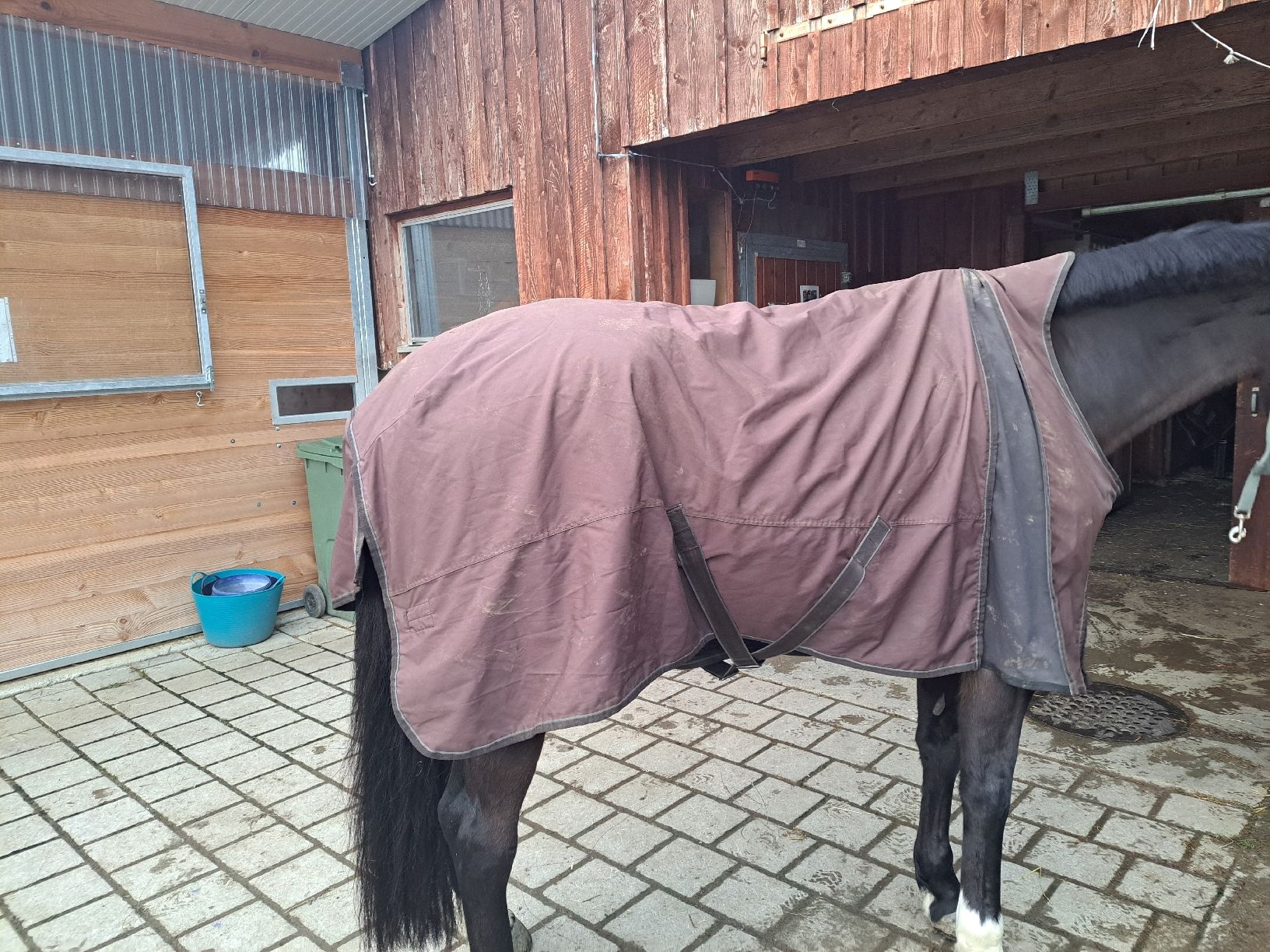 Coperte: Fleece-Pferdedecke Grösse 155 – Usato da Seengen venduto da alexandra.weber
