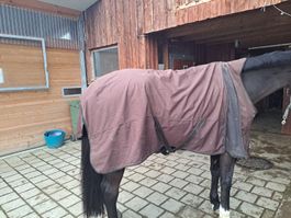 Fleece-Pferdedecke Grösse 155
