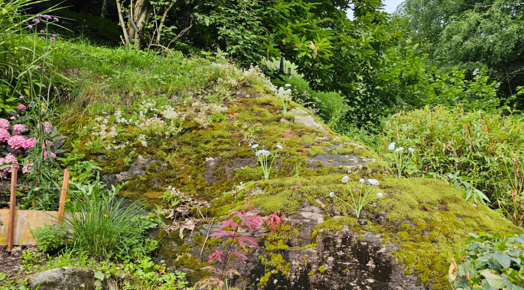 Tutte le decorazioni: Pilzlampe Garten,  LED, Warmweiss – Nuovo e nell'imballaggio originale da Edlibach venduto da frizliana 5
